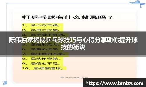 陈伟独家揭秘乒乓球技巧与心得分享助你提升球技的秘诀
