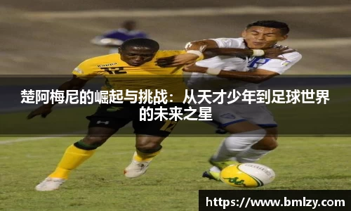 三亿体育平台