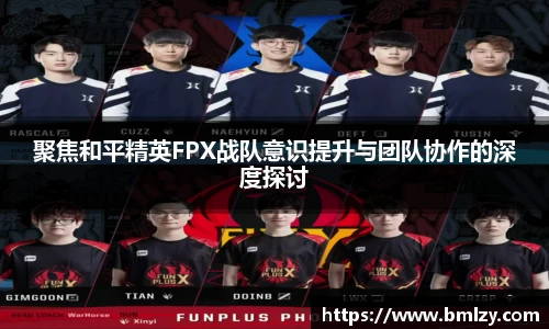 聚焦和平精英FPX战队意识提升与团队协作的深度探讨